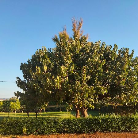 Agriturismo I Doni Del Mandorlo Alghero Buitenkant foto